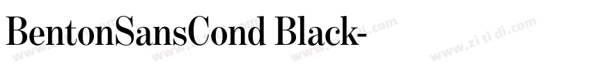 BentonSansCond Black字体转换